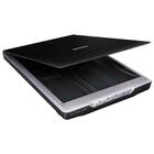 Scanner Epson Perfection V19 - B11b231201