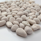 Seixo de Pedra SPZ89M 30,5x30,5x0,6cm Glass Mosaic