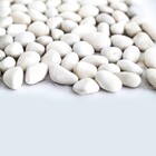 Seixo de Pedra Natural SPZ89M 30,5x30,5x6cm Glass Mosaic