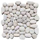 Seixo White - Indonésia