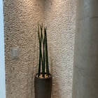 Seixo White - Indonésia