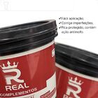 Selador Acrilico Real Balde 16l