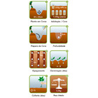 Semente Abóbora Menina Brasileira Precoce  Isla Sementes