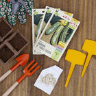 Semente Abobrinha de Tronco Caserta Isla Sementes