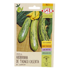 Semente Abobrinha de Tronco Caserta Isla Sementes