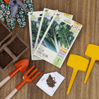 Semente Acelga Verde Escura Isla Sementes