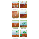 Semente Agrião da Água Folha Larga Isla Sementes