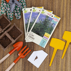 Semente Alecrim Rosmarino Isla Sementes