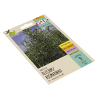 Semente Alecrim Rosmarino Isla Sementes