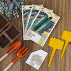 Semente Alface Boston Branca (Manteiga) Isla Sementes