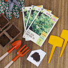 Semente Alface Crespa Grand Rapids - TBR Isla Sementes