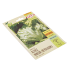 Semente Alface Hanson (Repolhuda) Isla Sementes