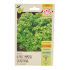 Semente Alface Mimosa (Salad Bowl) Isla Sementes