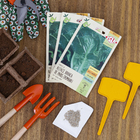 Semente Alface Romana Branca de Paris Isla Sementes