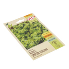 Semente Alface Simpson Semente Preta Isla Sementes