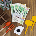 Semente Alho Porró Carentan Isla Sementes