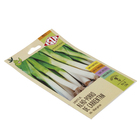 Semente Alho Porró Carentan Isla Sementes