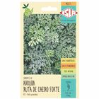 Semente Arruda/Ruta de Cheiro Forte Isla Sementes