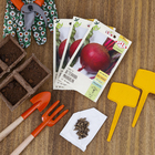 Semente Beterraba Maravilha Isla Sementes