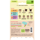 Semente Camomila Verdadeira 100mg