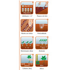 Semente Camomila Verdadeira/Maçanilha Isla Sementes