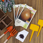 Semente Cebola Baia Periforme Isla Sementes