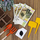 Semente Cebolinha Verde Isla Sementes