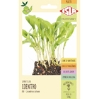 Semente Coentro Microverdes