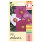 Semente Cosmea Sensação Sortida Isla Sementes
