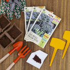 Semente Couve-Brócoli Piracicaba Precoce Isla Sementes