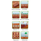 Semente Couve-Brócoli Piracicaba Precoce Isla Sementes