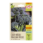 Semente Couve-Brócoli Piracicaba Precoce Isla Sementes