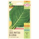 Semente Couve Manteiga da Georgia Isla Sementes