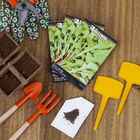 Semente de  Rucula Cultivada 1g Feltrin