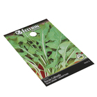 Semente de  Rucula Cultivada 1g Feltrin