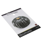 Semente de Abóbora Hiroko 550mg Feltrin