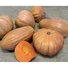 Semente De Abóbora Sergipana Topseed Pcte C/ 100 Gramas