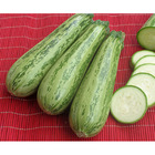 Semente De Abobrinha Híbrida Flora F1 Pcte C/ 1.000 Sementes