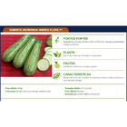 Semente De Abobrinha Híbrida Flora F1 Pcte C/ 1.000 Sementes