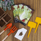 Semente de Almeirão Pão de Açucar 700mg Feltrin