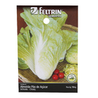 Semente de Almeirão Pão de Açucar 700mg Feltrin