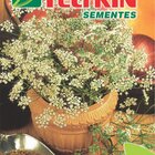 Semente De Anis Ou Erva Doce Feltrin Economica 150mg