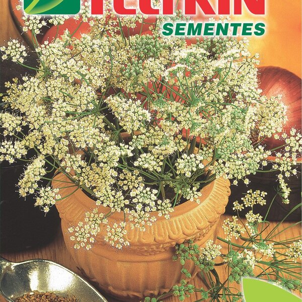 Semente De Anis Ou Erva Doce Feltrin Economica 150mg