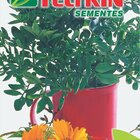 Semente De Arruda Feltrin 100 Mg