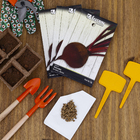 Semente de Beterraba Katrina 5g Feltrin