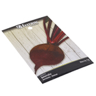 Semente de Beterraba Katrina 5g Feltrin