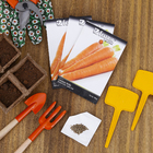 Semente de Cenoura Brasilia Irece 700mg Feltrin