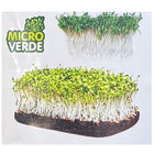 Semente De Coentro Para Microverdes Pcte C/ 500 Gramas