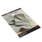 Semente de Couve Manteiga 1g Feltrin