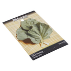 Semente de Couve Manteiga 8g Feltrin